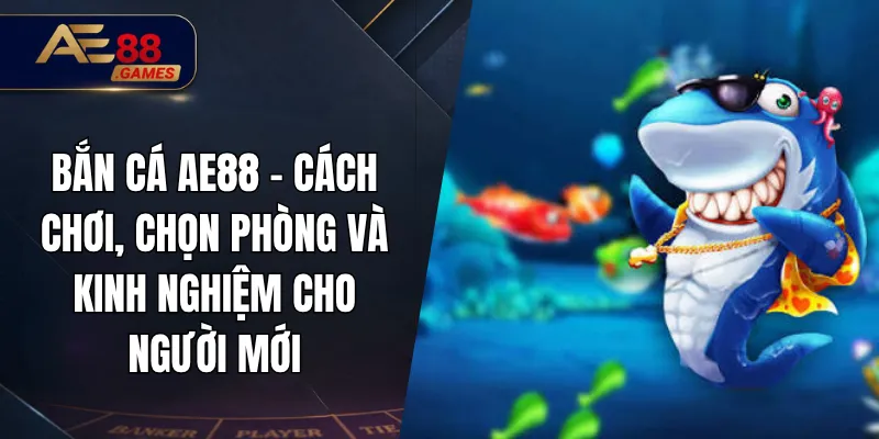 Bắn Cá AE88 – Cách Chơi, Chọn Phòng Và Kinh Nghiệm Cho Người Mới 10 Bắn Cá AE88 – Cách Chơi, Chọn Phòng Và Kinh Nghiệm Cho Người Mới