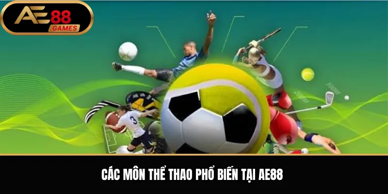 Thể Thao AE88 – Tổng Quan Sảnh Cược, Kèo Bóng Đá Và Cách Theo Dõi Tỷ Lệ 1 Các Môn Thể Thao Phổ Biến Tại AE88