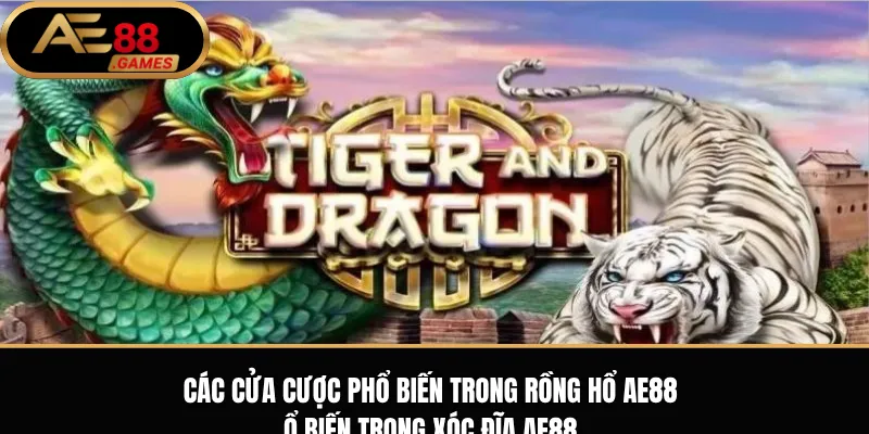 Rồng Hổ AE88 – Luật Chơi Dragon Tiger Và Cách Đặt Cược Cơ Bản 2 Các cửa cược phổ biến trong Rồng Hổ AE88
