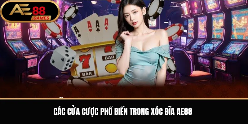 Xóc Đĩa AE88 – Luật Chơi, Cửa Cược Và Kinh Nghiệm Cơ Bản 2 Các cửa cược phổ biến trong Xóc Đĩa AE88