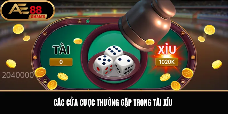Tài Xỉu AE88 – Luật Chơi, Cách Đặt Cược Và Kinh Nghiệm Cơ Bản 2 Các cửa cược thường gặp trong tài xỉu