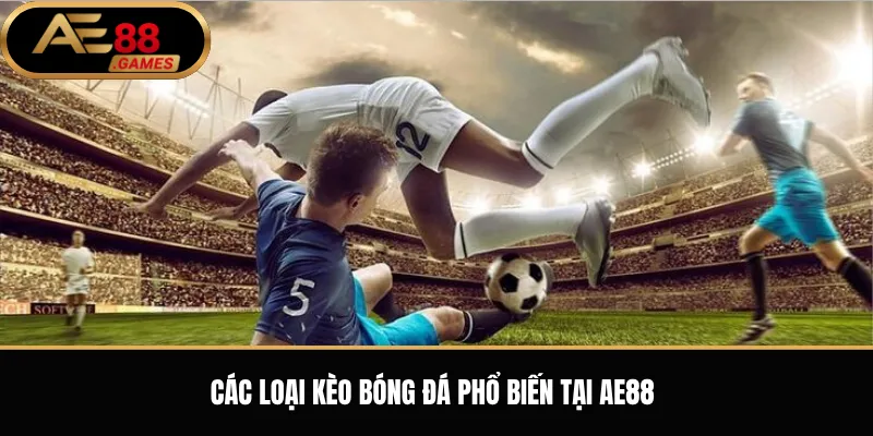 Kèo Bóng Đá AE88 – Cách Xem Kèo, Đọc Tỷ Lệ Và Theo Dõi Trận Đấu 2 Các loại kèo bóng đá phổ biến tại AE88