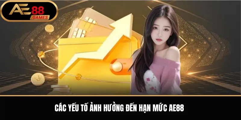 Các yếu tố ảnh hưởng đến hạn mức AE88
