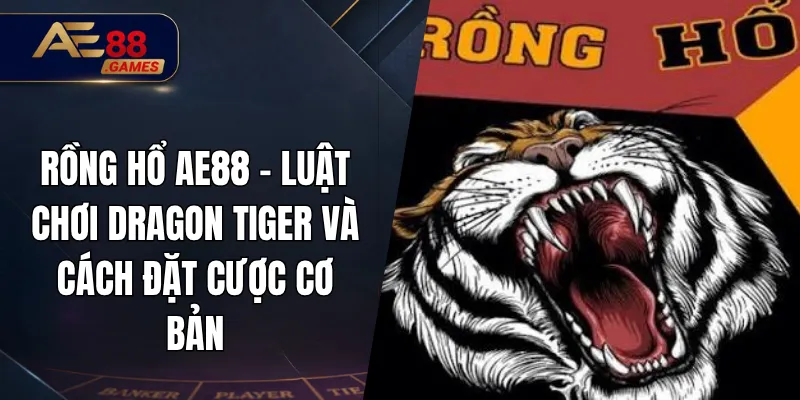 Rồng Hổ AE88 – Luật Chơi Dragon Tiger Và Cách Đặt Cược Cơ Bản 4 Rồng Hổ AE88 – Luật Chơi Dragon Tiger Và Cách Đặt Cược Cơ Bản